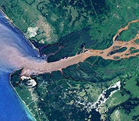 The Congo River delta